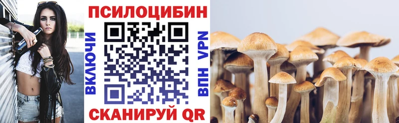 Галлюциногенные грибы Magic Shrooms  маркетплейс официальный сайт  Новоалександровск 