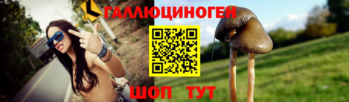 Новоалександровск  Псилоцибиновые грибы Magic Shrooms  Вход с VPN 