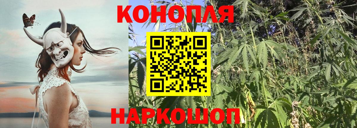 Конопля гибрид  Новоалександровск  Конопля LSD WEED 